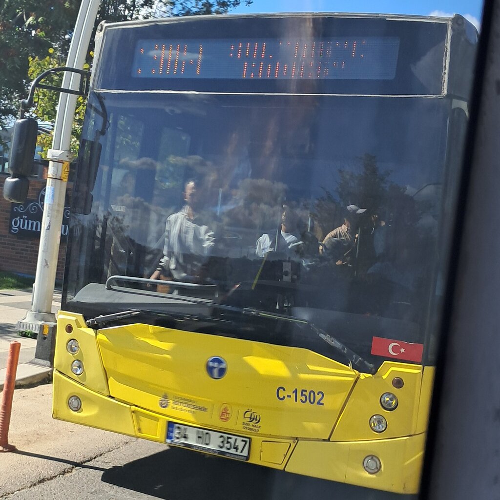 1000033011.jpg