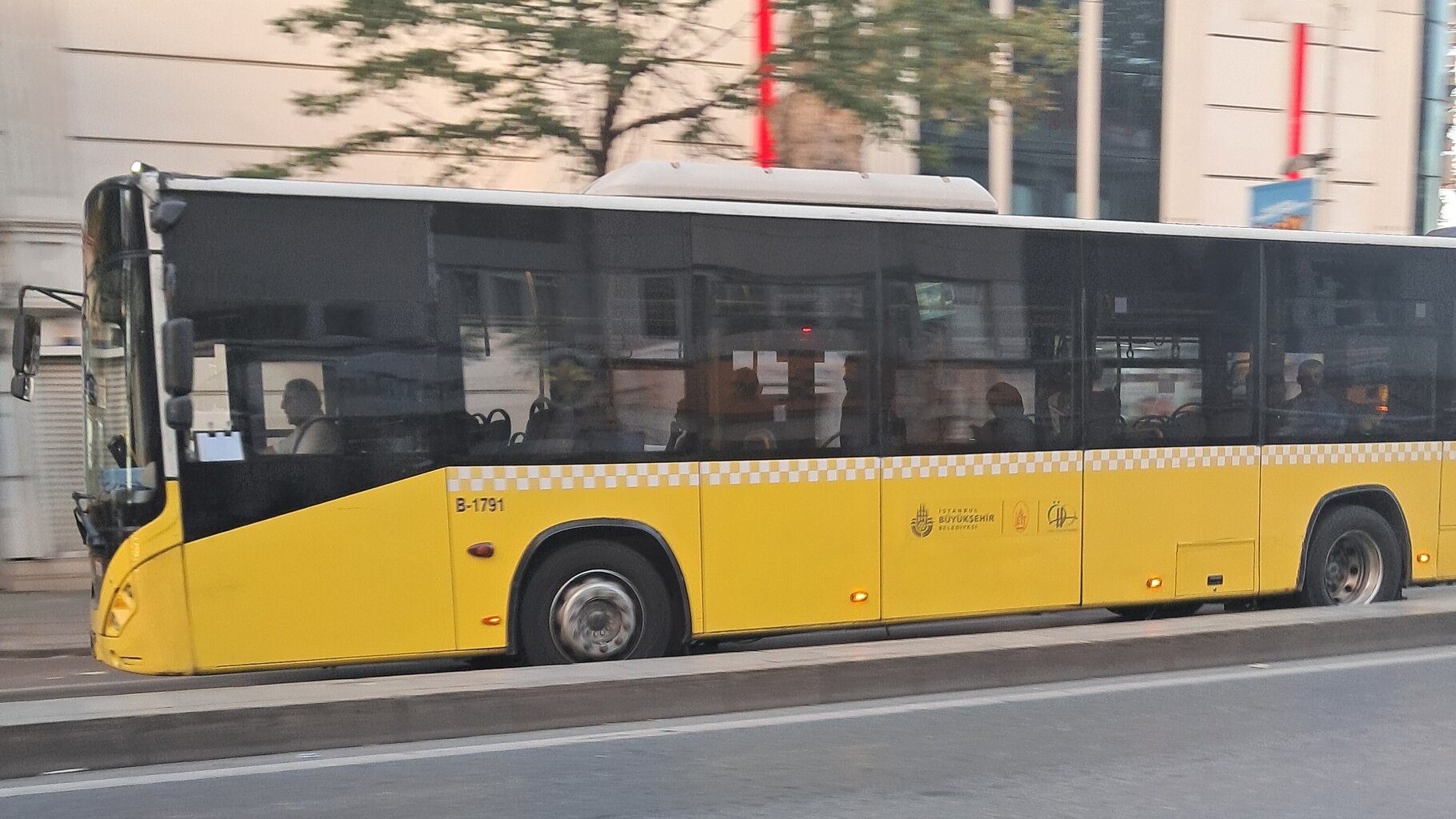 1000033017.jpg
