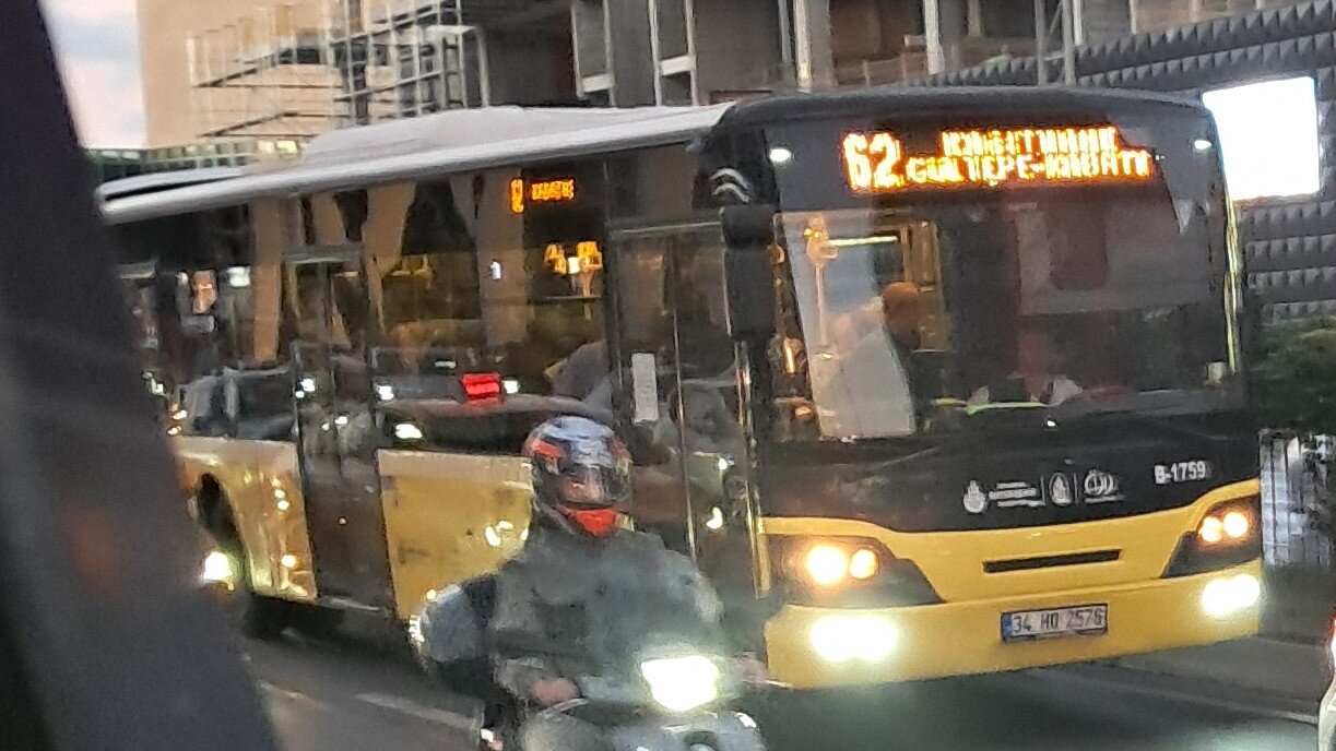 1000033019.jpg