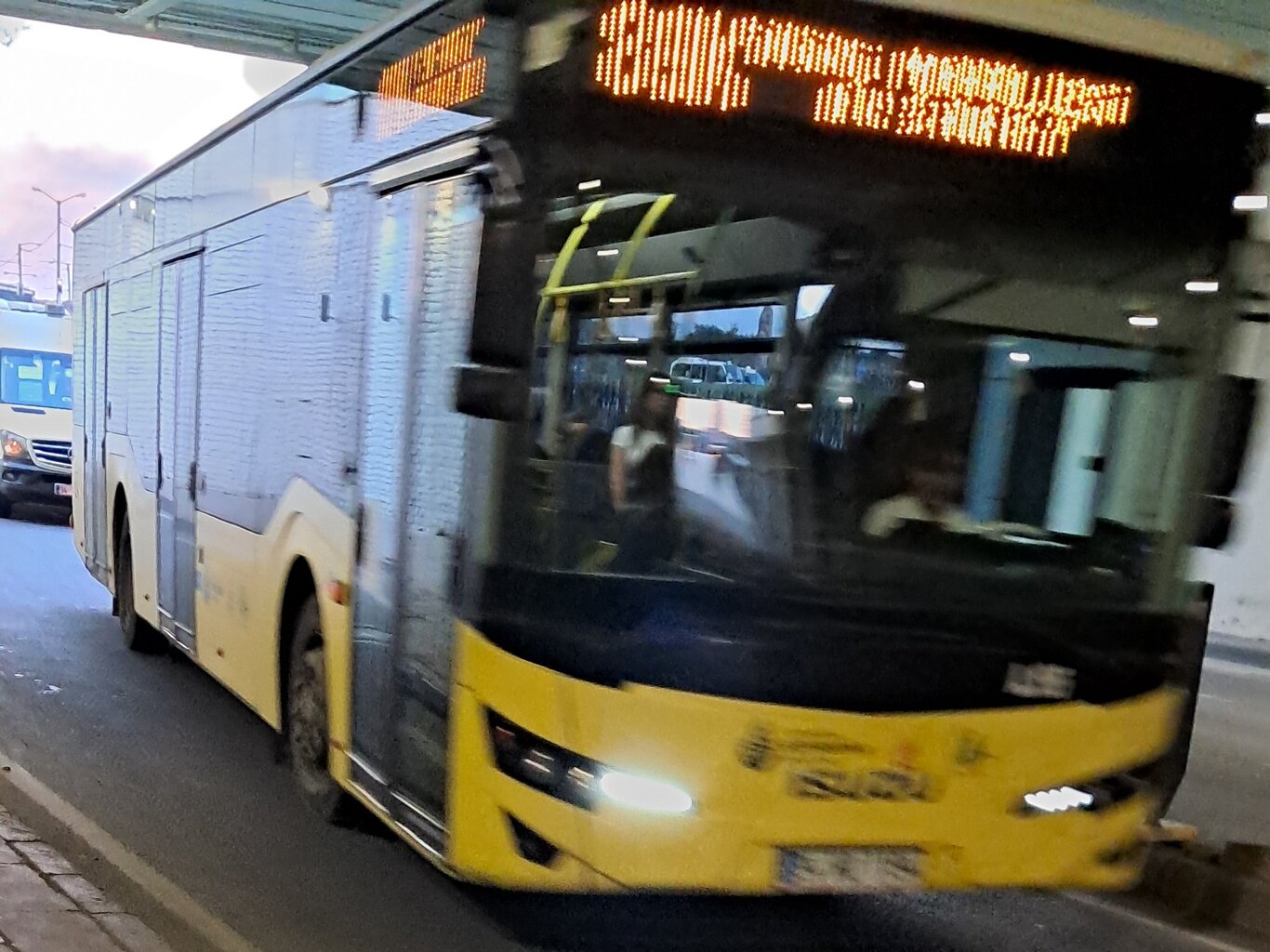 1000032997.jpg