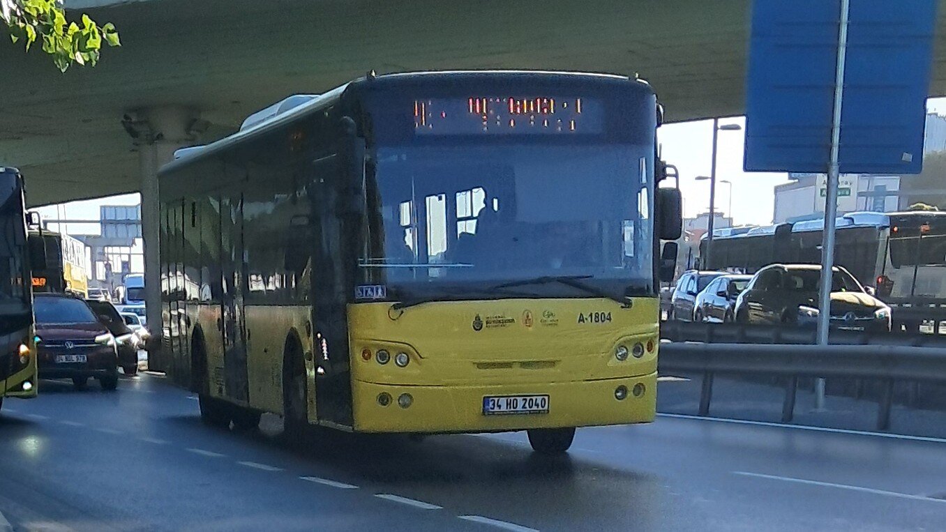 1000033038.jpg