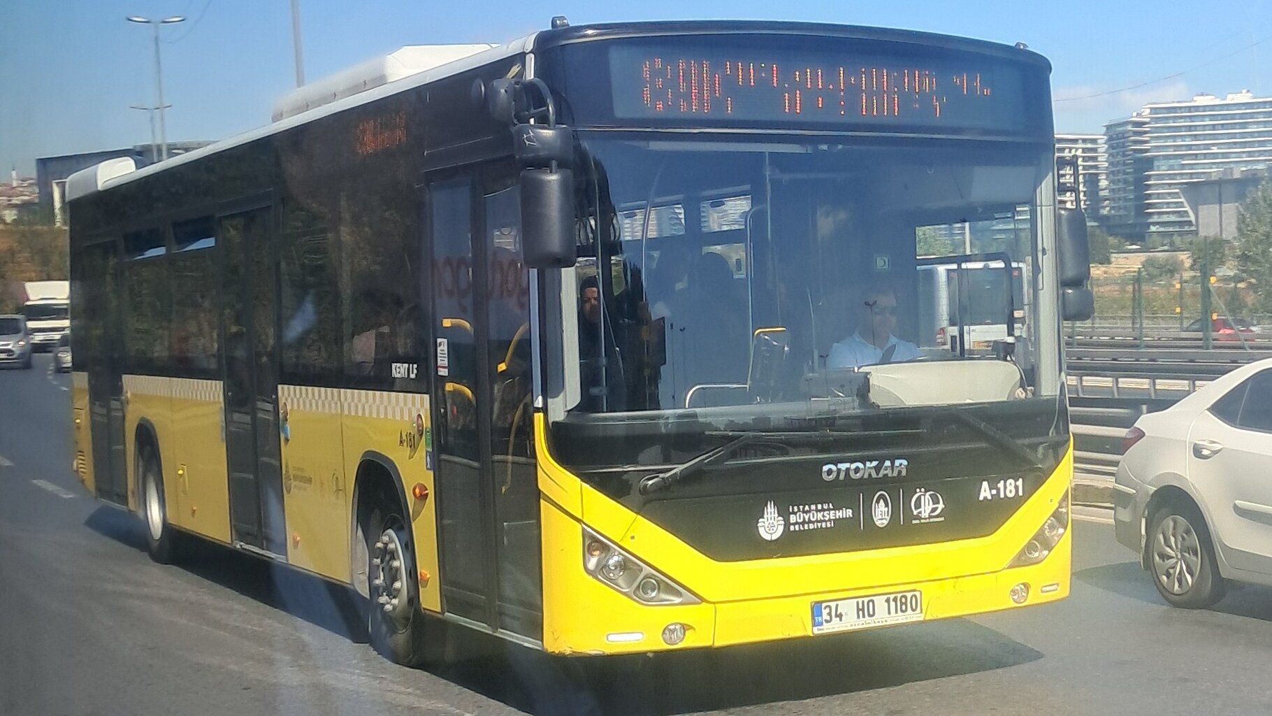 1000033063.jpg