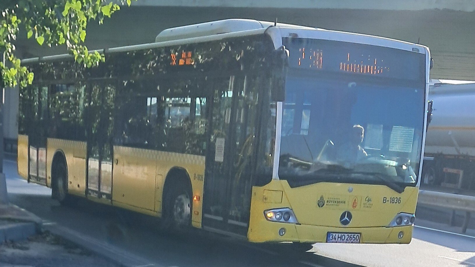1000033131.jpg