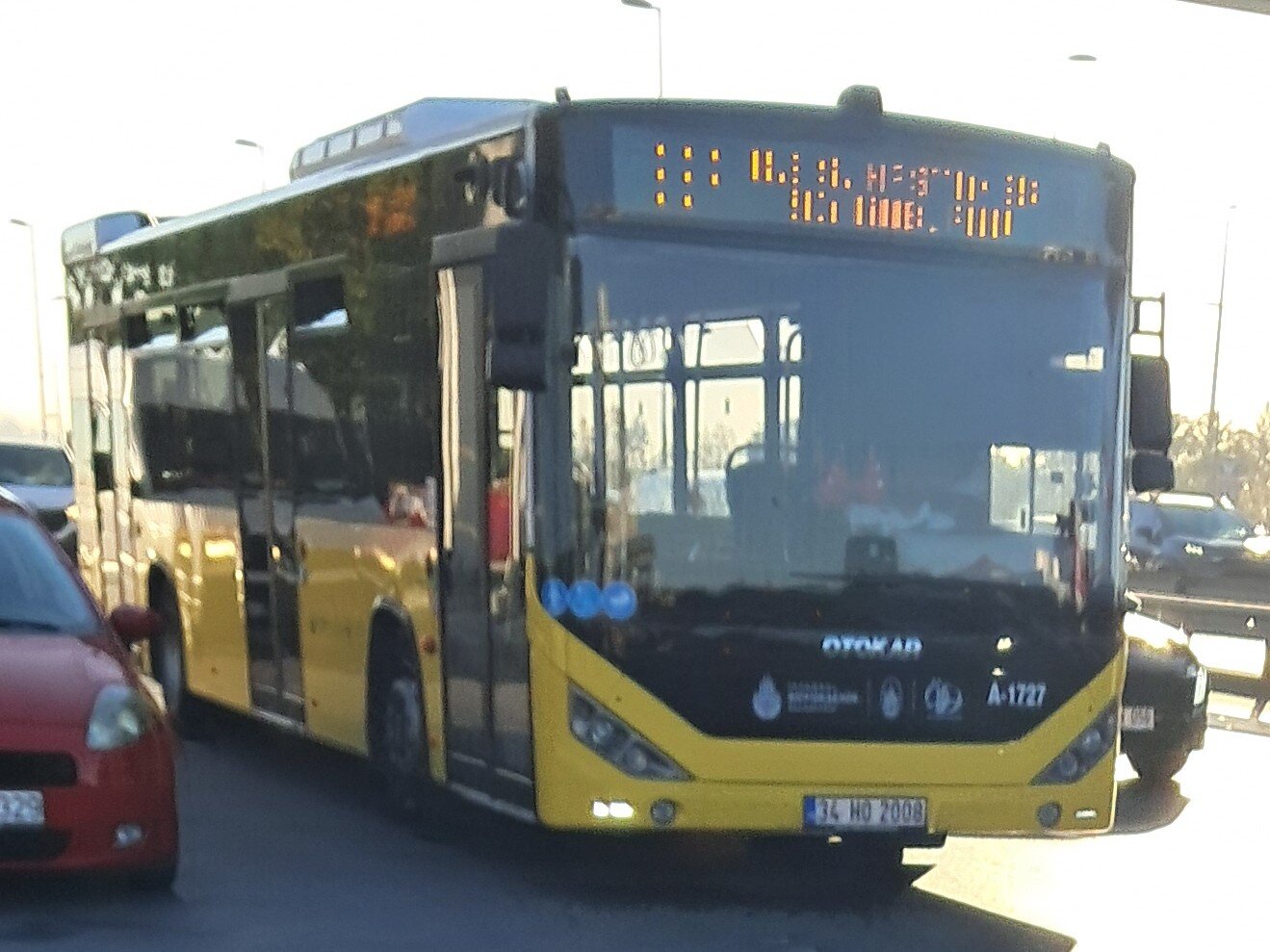 1000033273.jpg
