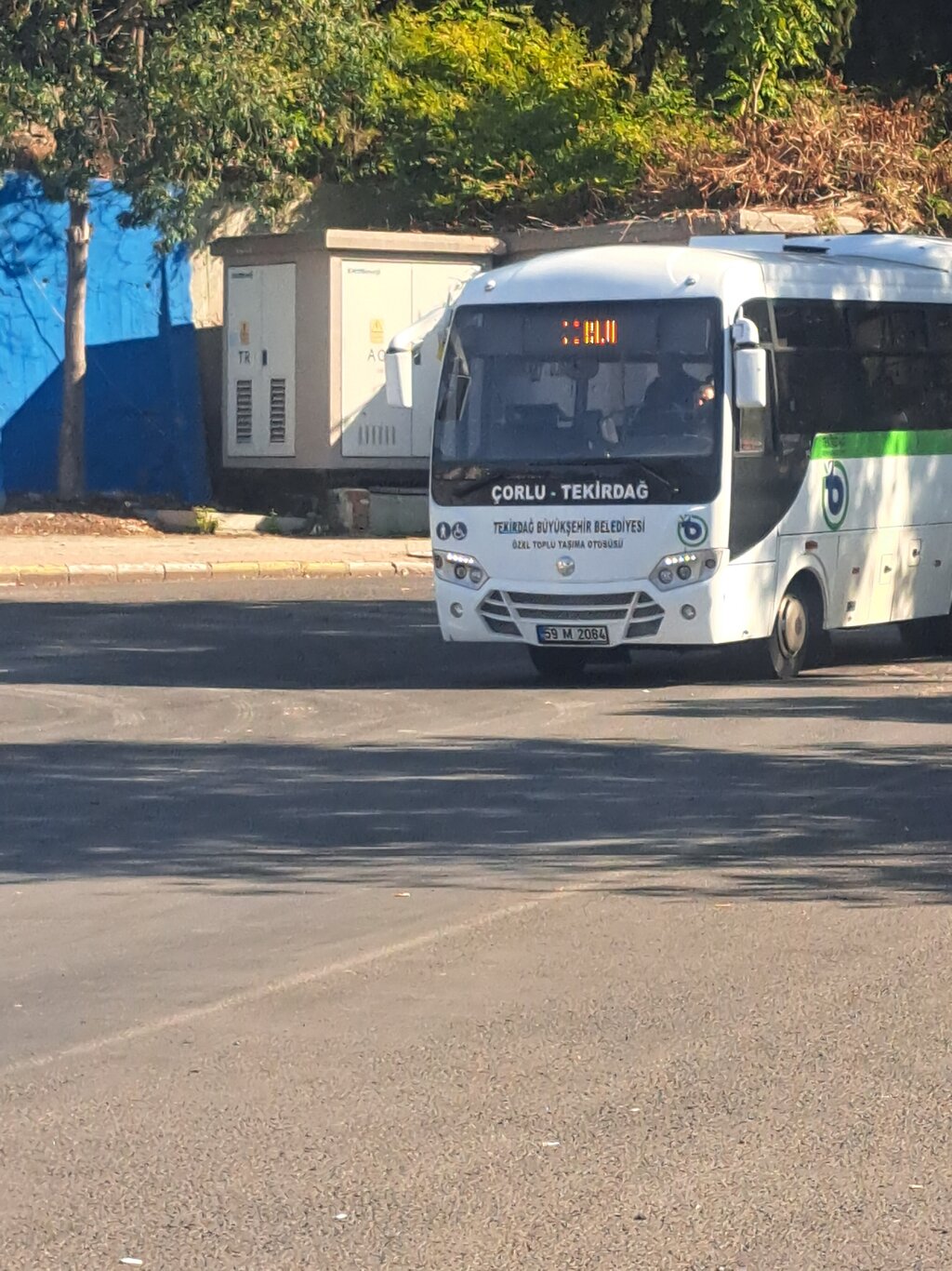 1000044445.jpg