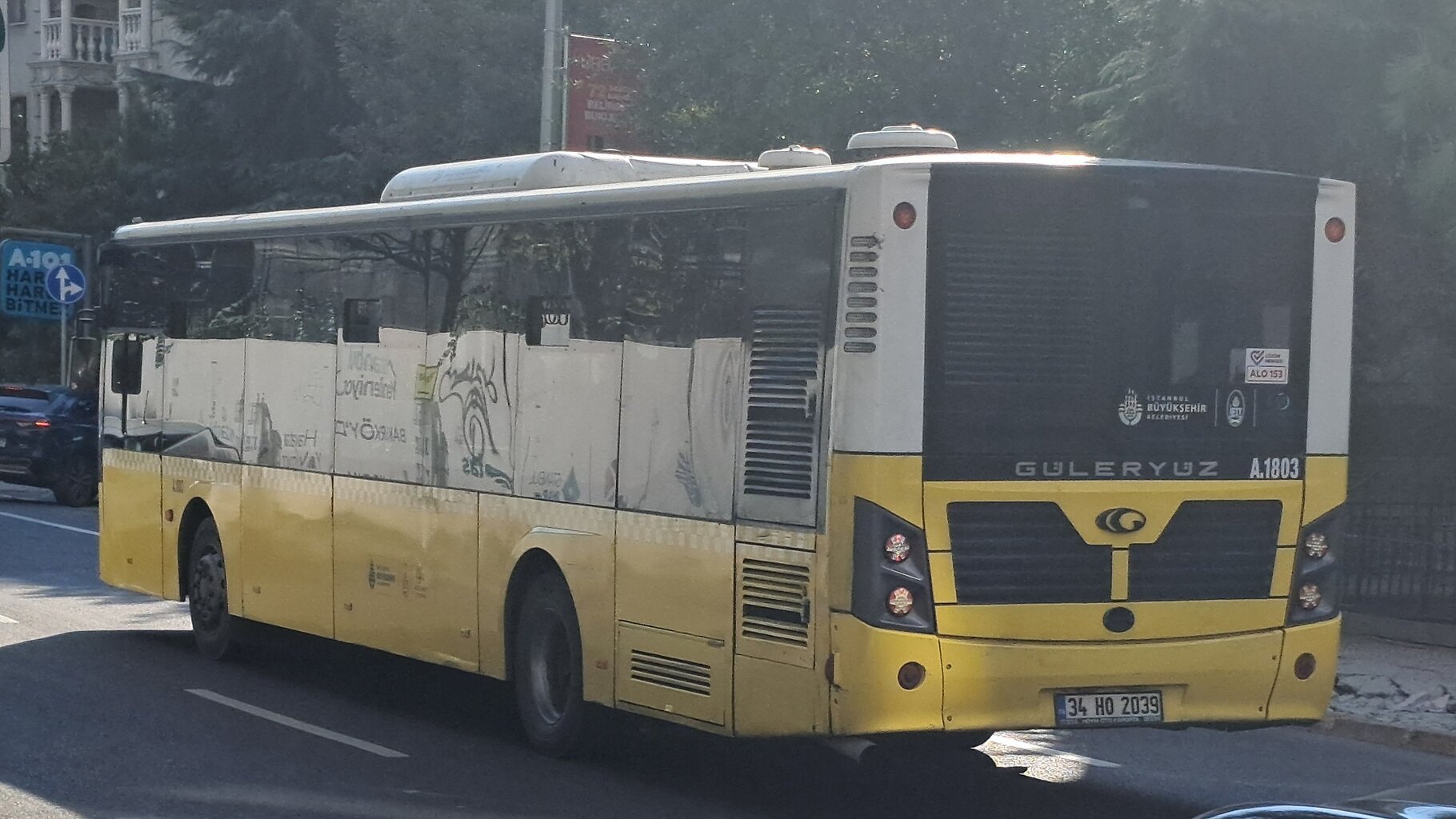 1000035481.jpg