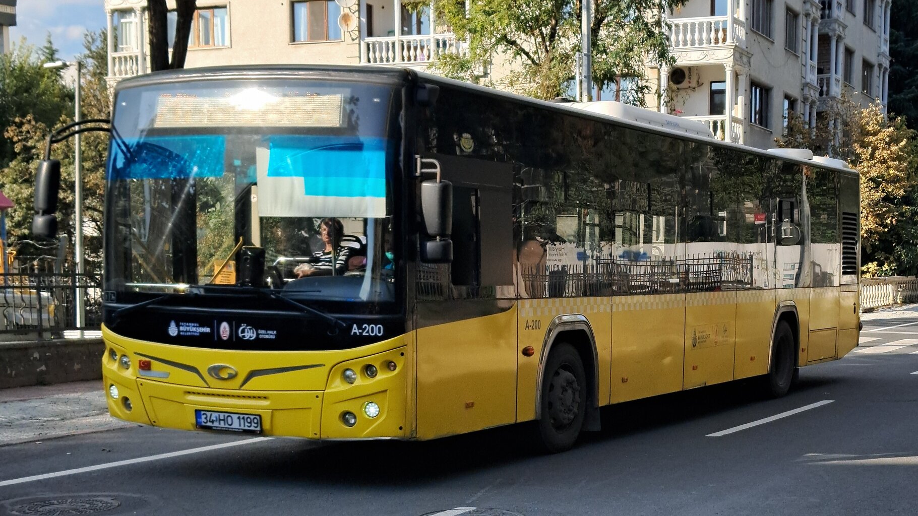 1000035479.jpg