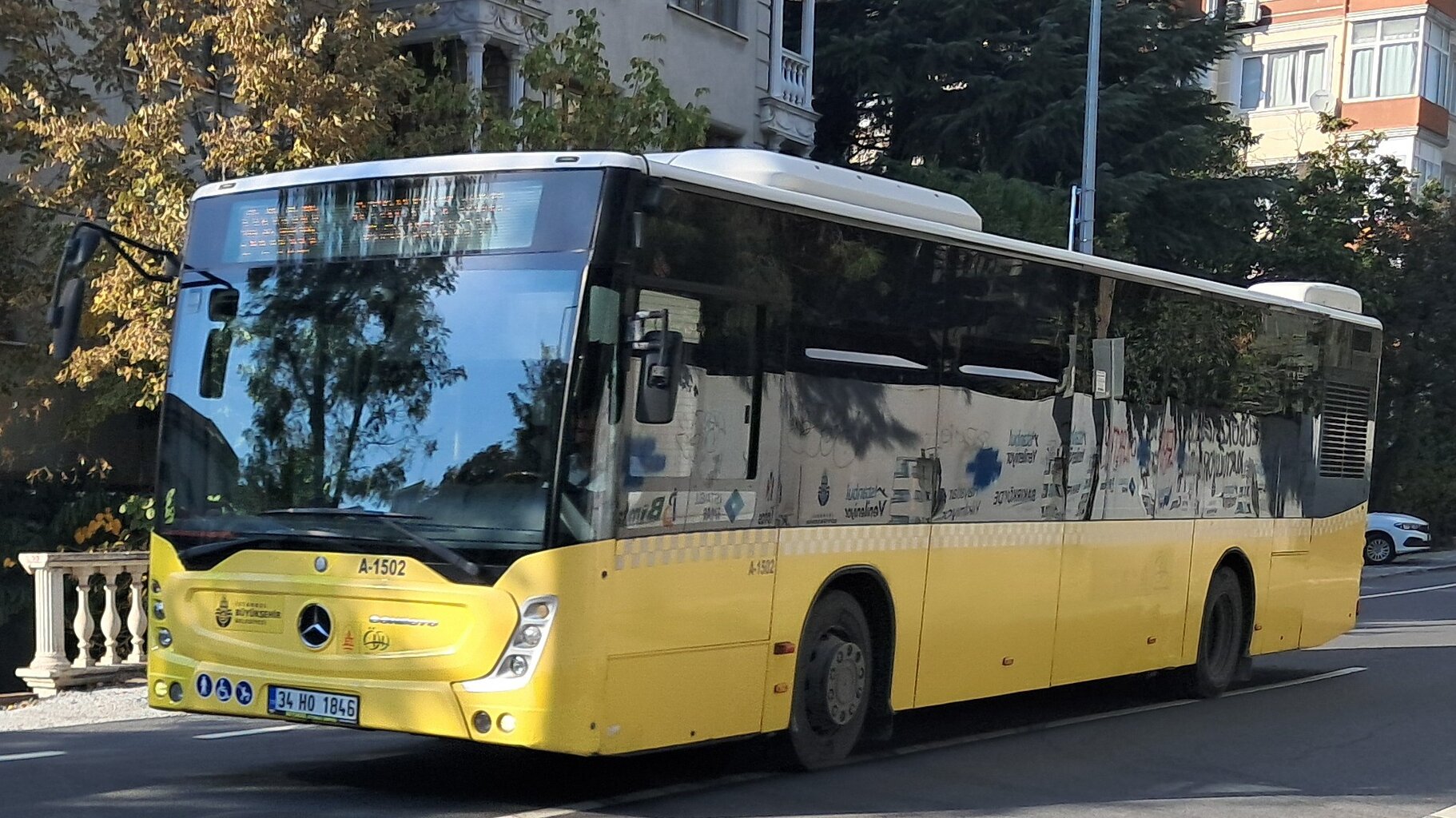 1000035506.jpg