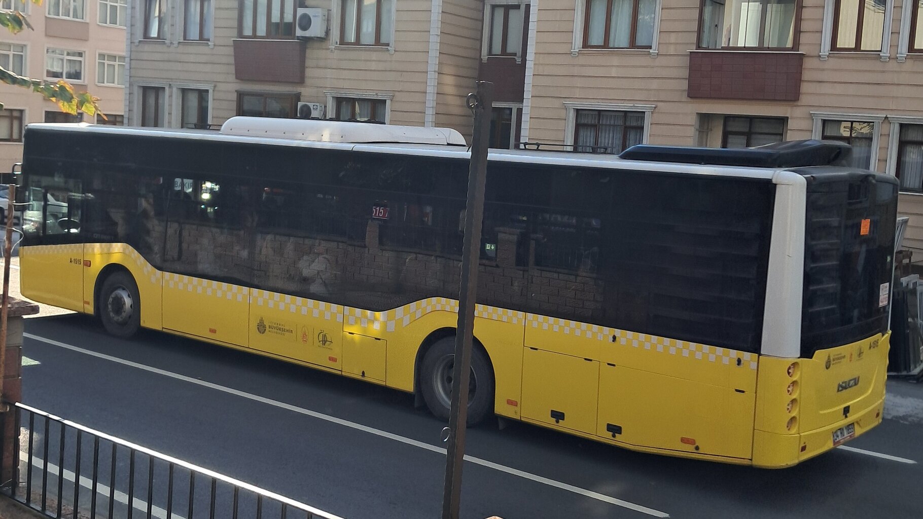 1000035507.jpg