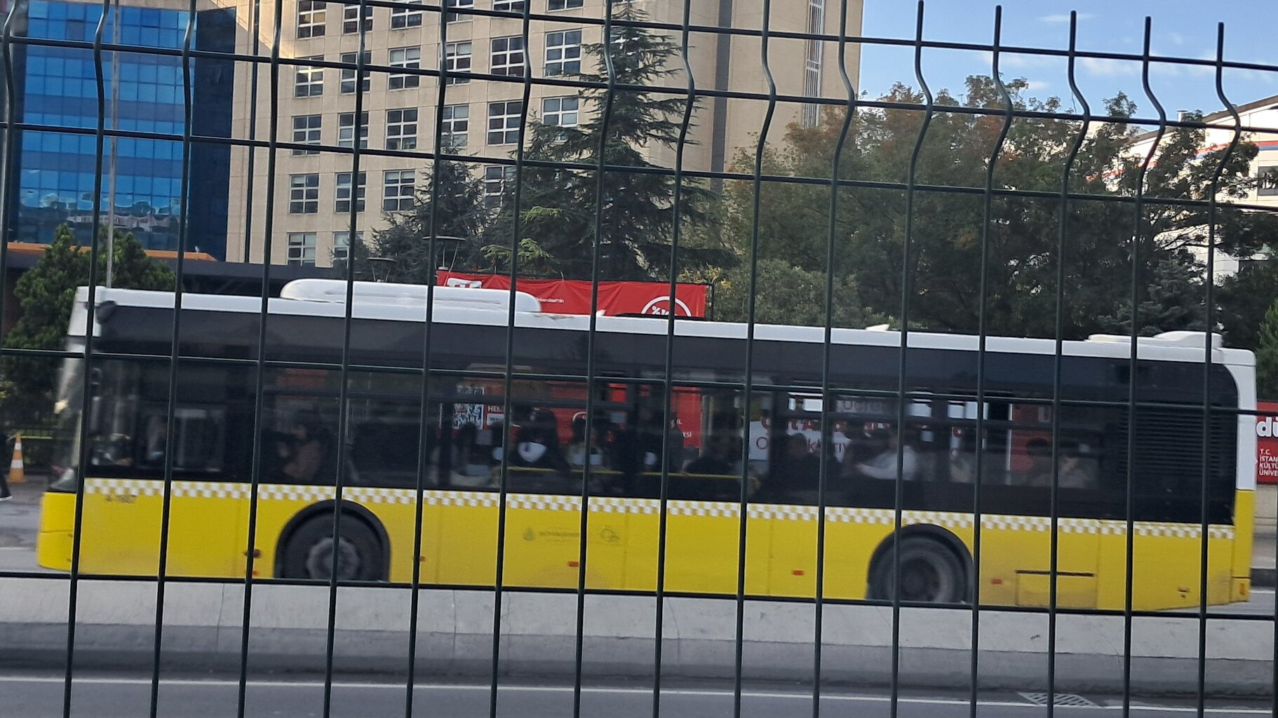 1000035509.jpg