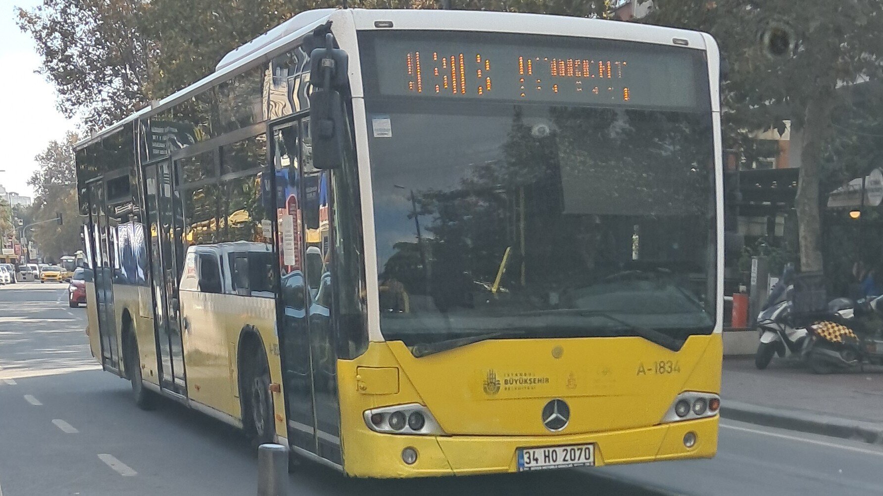 1000035505.jpg