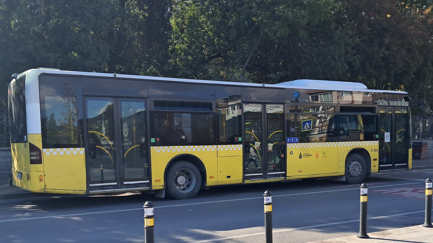 1000035461.jpg
