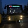 TheBusSpotting