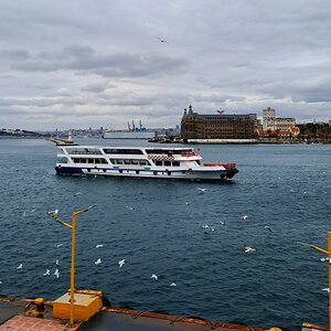 20241116_125310 (1).jpg