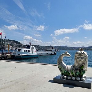 dfeim8i-3d946140-7632-4a04-a68a-5a66b1a1e5b5.jpg