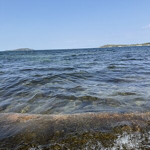 IMG_5242.jpeg