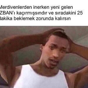 hfgyz1q7rw641.jpg
