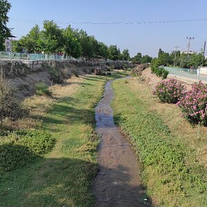 IMG_20250607_172103.jpg