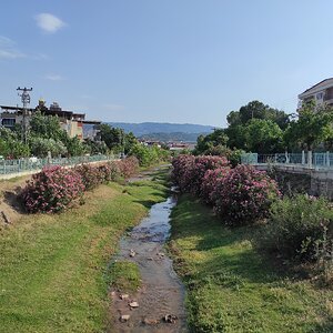 IMG_20250607_172042.jpg
