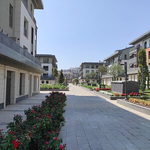 IMG_20250829_134433.jpg