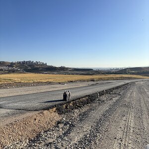 IMG_7546.jpeg