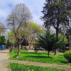 20240410_132431.jpg