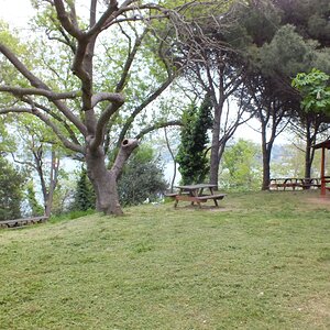 DSCF5448.JPG