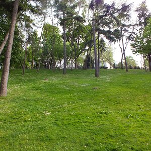 DSCF5512.JPG