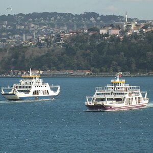 DSCF8131.JPG