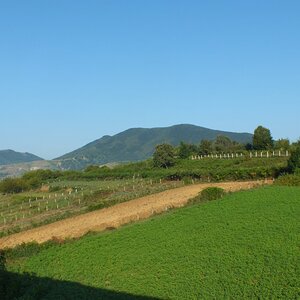 DSCF6908.JPG