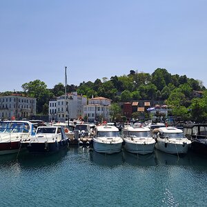 20250519_134251.jpg