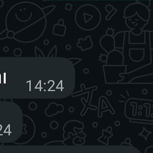 Screenshot_20251001_195634_WhatsApp.jpg