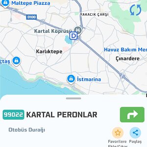1000309167.jpg