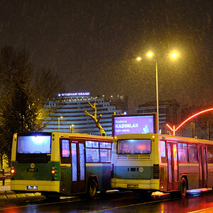 DSCF7733.jpg