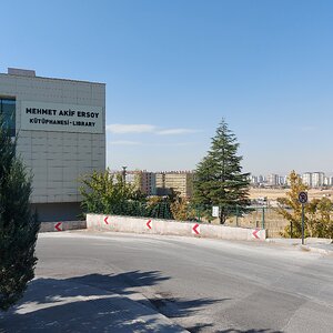 20251019_120848.jpg