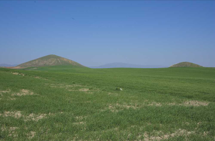 görüntü