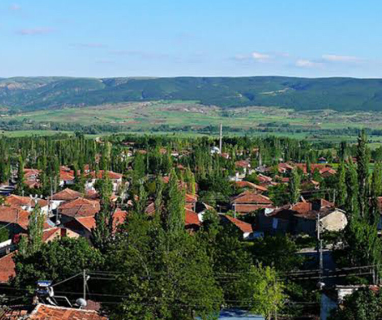 görüntü