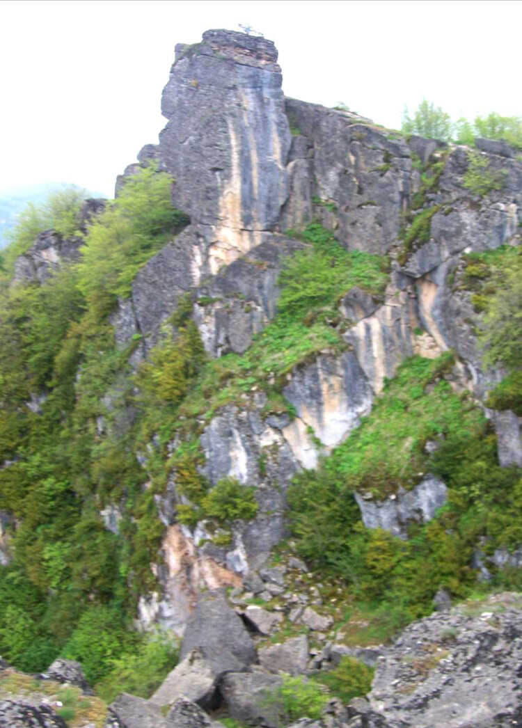 görüntü