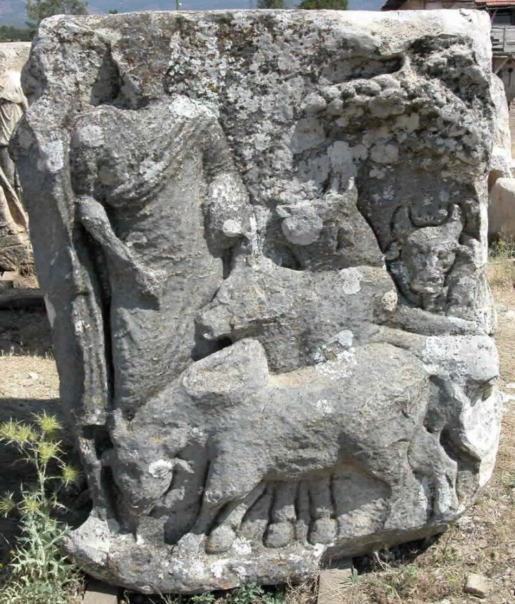 görüntü