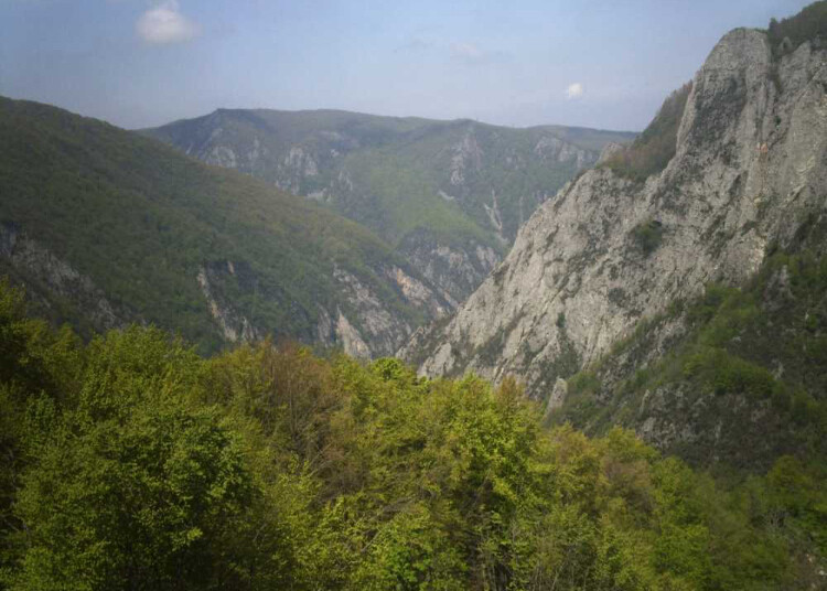 görüntü