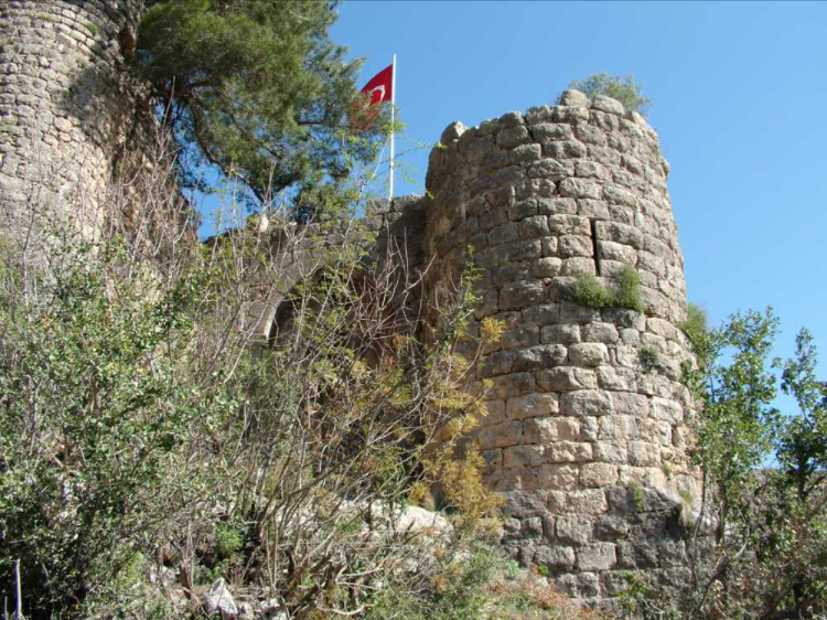 görüntü