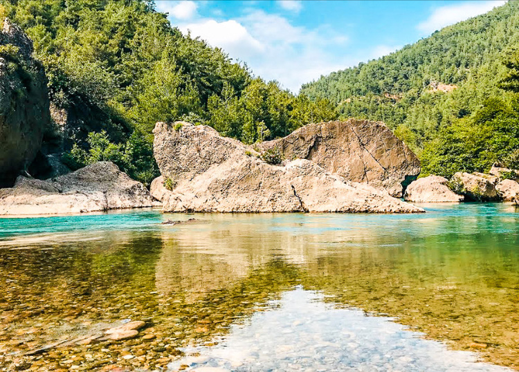 görüntü