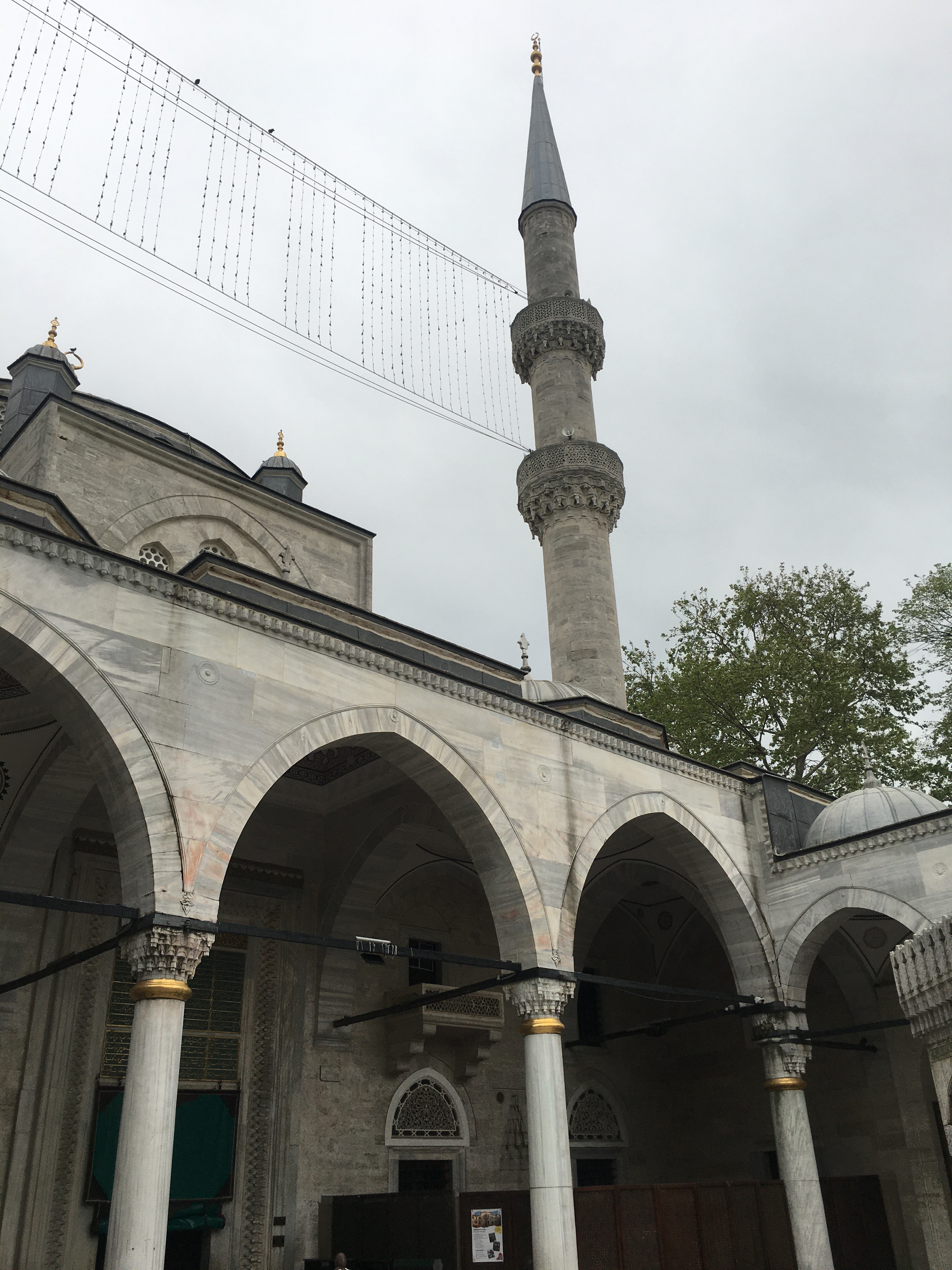 görüntü