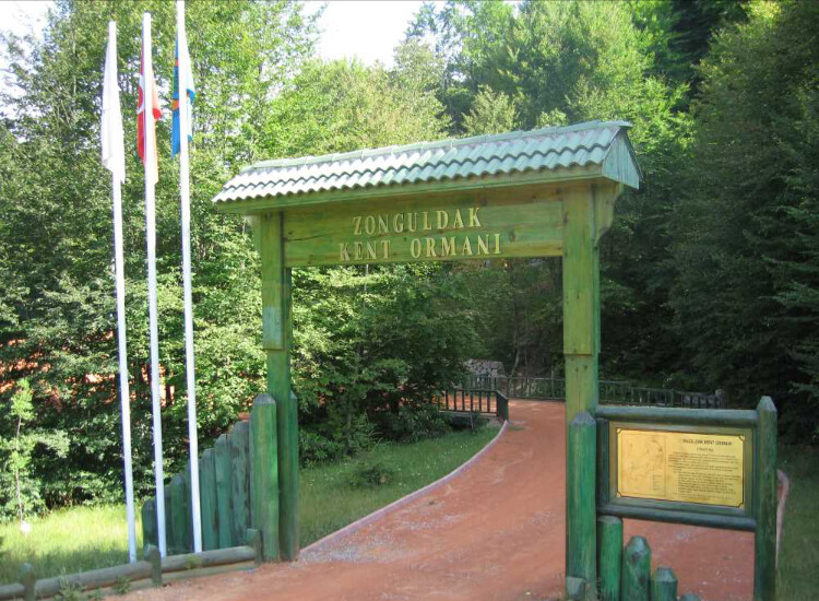 görüntü