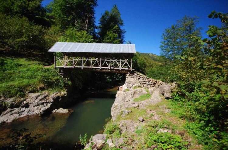 görüntü