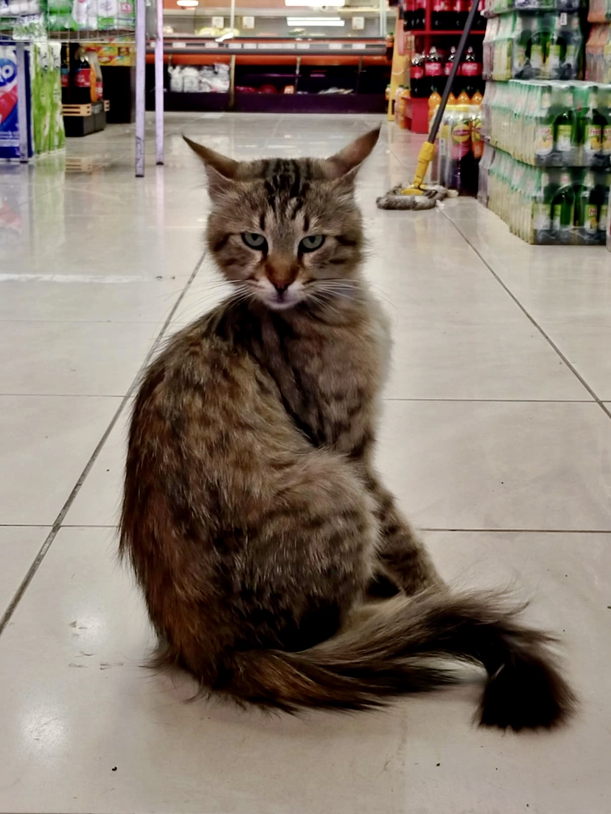 görüntü
