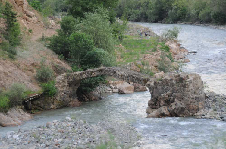 görüntü