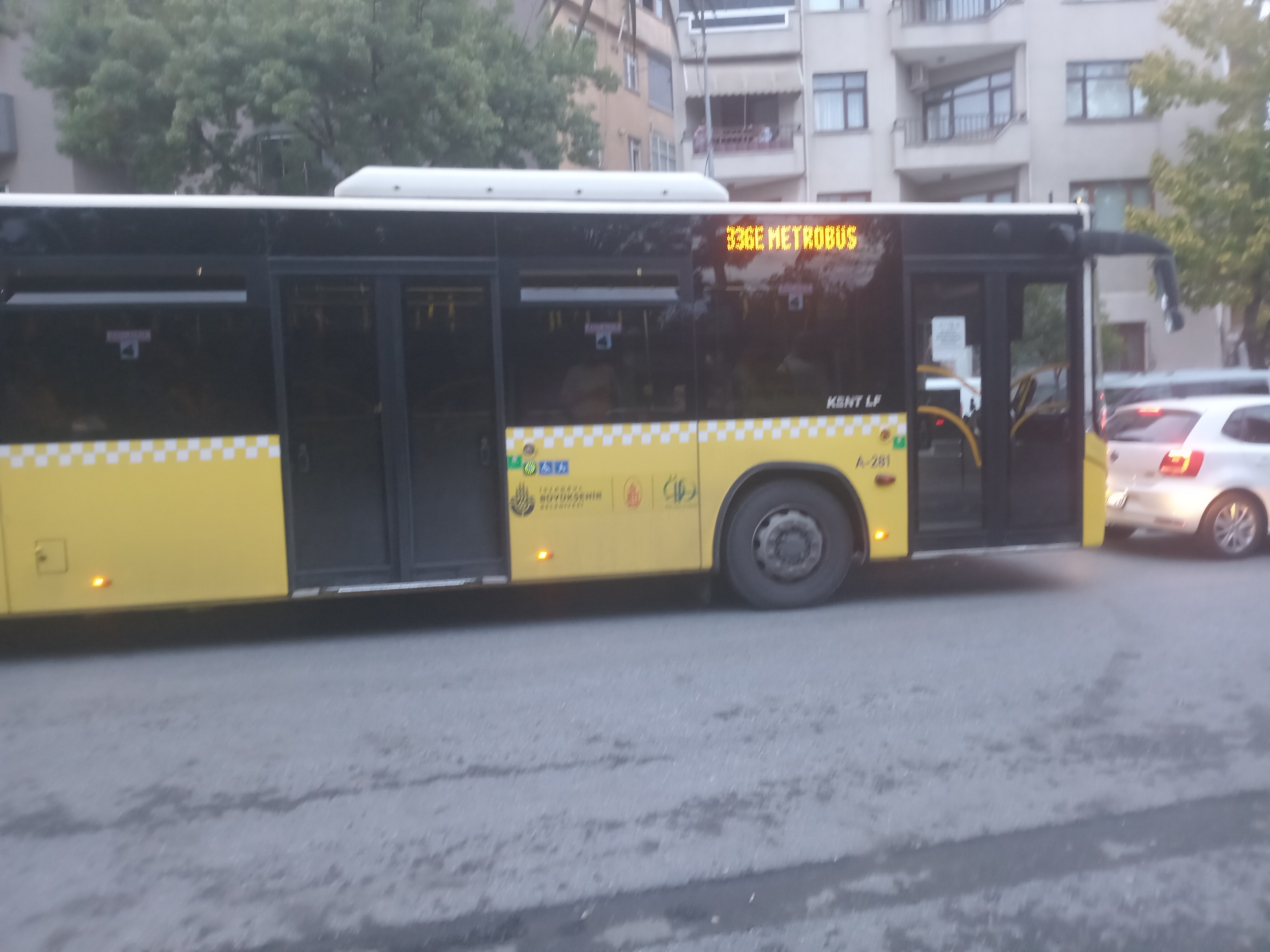 1000001385.jpg