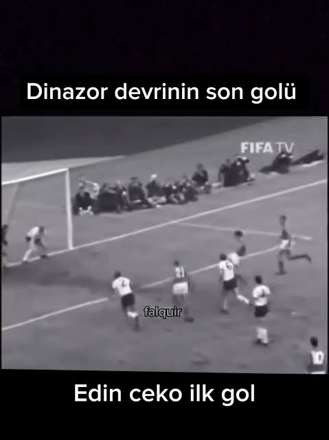 1000005410.jpg