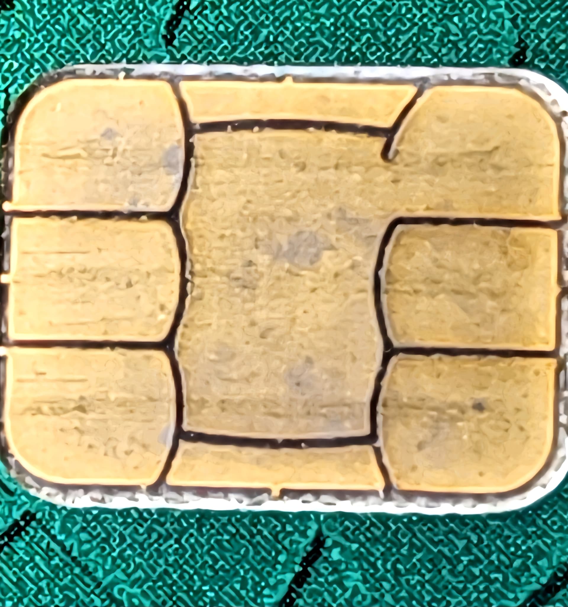 1000019750